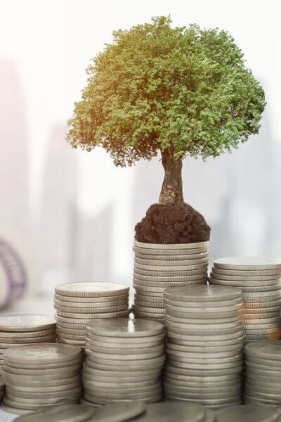 Income Investing